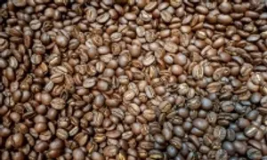 Hiệp hội gạo, cà phê kiến nghị bỏ thuế VAT Hiệp hội gạo, cà phê kiến nghị bỏ thuế VAT